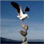 Marketing Multinivel Punto de Equilibrio de tu Negocio Marketing Multinivel Punto de Equilibrio de tu Negocio